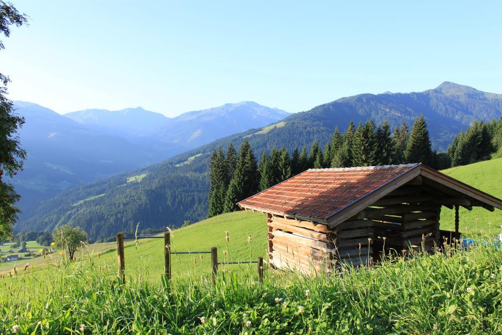 Villa Biobauernhof Fleckl à Hopfgarten im Brixental Extérieur photo