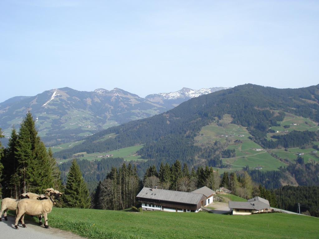 Villa Biobauernhof Fleckl à Hopfgarten im Brixental Extérieur photo