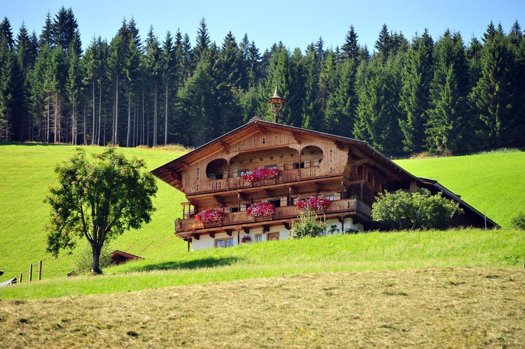 Villa Biobauernhof Fleckl à Hopfgarten im Brixental Extérieur photo