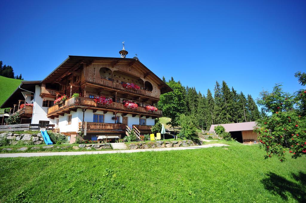 Villa Biobauernhof Fleckl à Hopfgarten im Brixental Extérieur photo